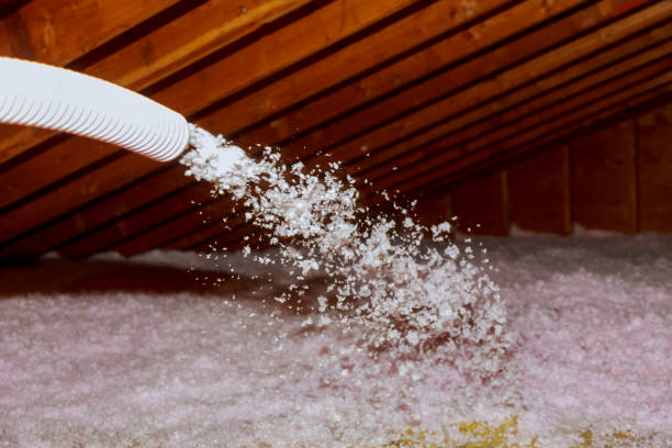 Best Residential Insulation in Inglis, FL