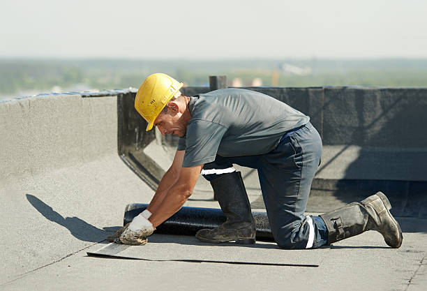 Best Eco-Friendly Insulation in Inglis, FL