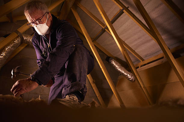 Best Energy Efficiency Insulation in Inglis, FL