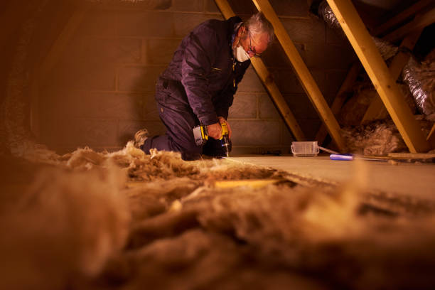 Types of Insulation We Offer in Inglis, FL